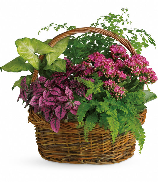 Secret Garden Basket